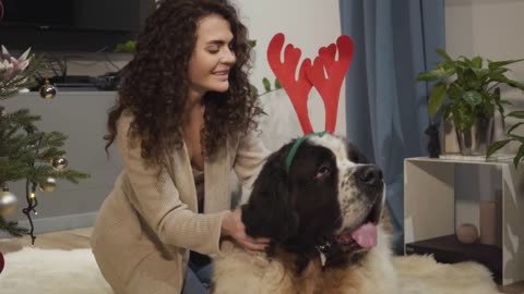 big dog sitting in New Year's horns of deer as his joyful female owner stroking his head and smiling