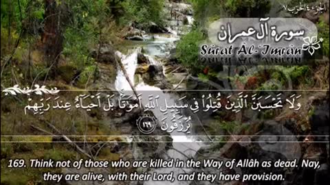 Surah Al Imran Maher Al Muaiqly