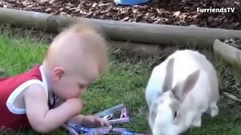 Little Jj Playing Clips with Carl the Rabbit