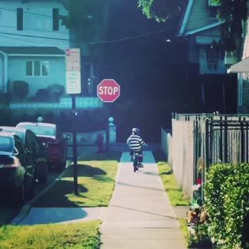 Desmond's first time without training wheels