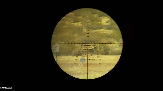 Rapid Reticle 22LR