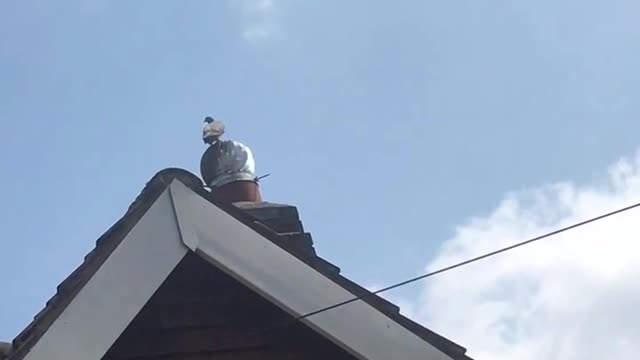 Pigeon Chimney Merry-Go-Round