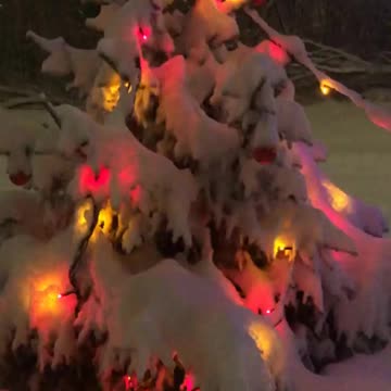 Christmas tree shimmers with flowers