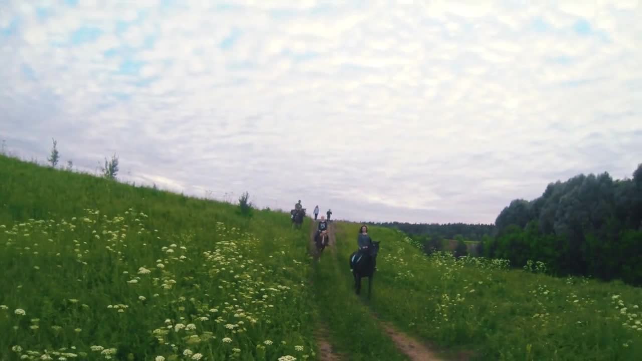 Group of riders on horseback galloping through the summer field