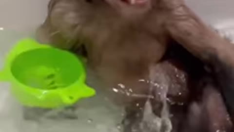Hygiene