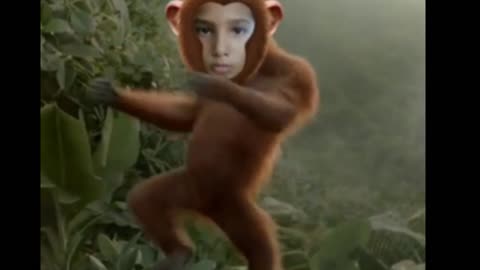 Monkey dance video