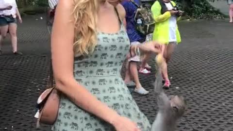 Pretty girl was robbed by a monkey