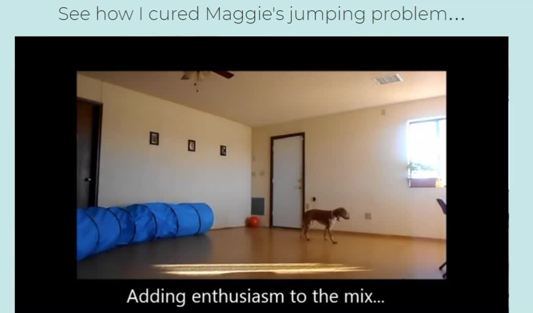 Brain Training For Dogs - Unique Dog Training Video