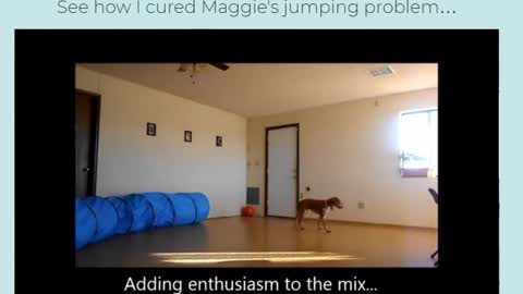 Brain Training For Dogs - Unique Dog Training Video