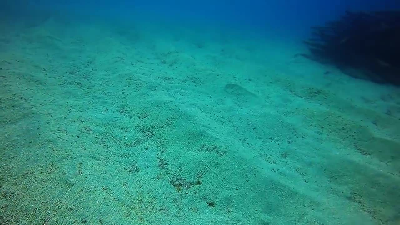 Museo Atlantico, Lanzarote - Feb 2017-12