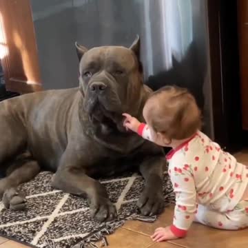 What's the nicestWhat's the kid doing? 🙄🤯