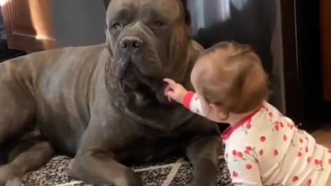 What's the nicestWhat's the kid doing? 🙄🤯