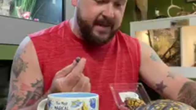 Breakfast with the one and only Otis! 😎🐢