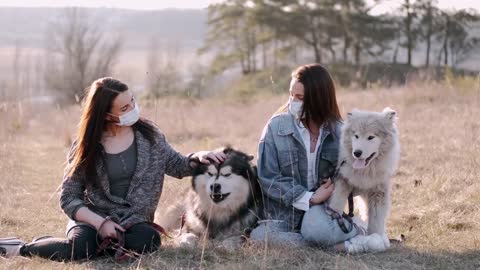 Top10 fuuny#🤣 Funniest 🐶 Dogs and 😻 Cats - Awesome Funny Pet Animals Life Videos hindi #