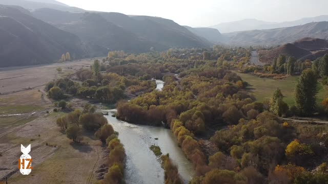 Episode 416 - Ramming Attack in Germany...Why the Media Won't Tell You