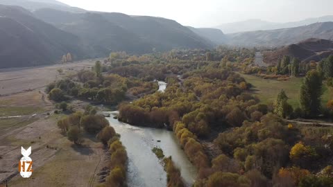 Episode 416 - Ramming Attack in Germany...Why the Media Won't Tell You