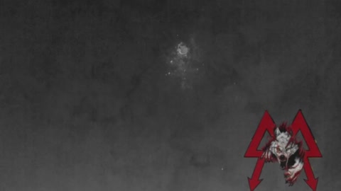 deNAZIfication - Night hunting