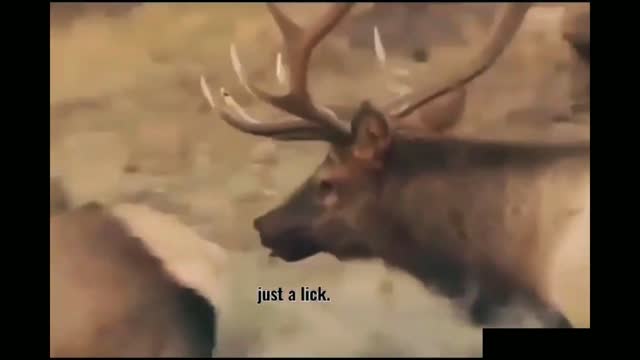 That Random Part of the Internet
