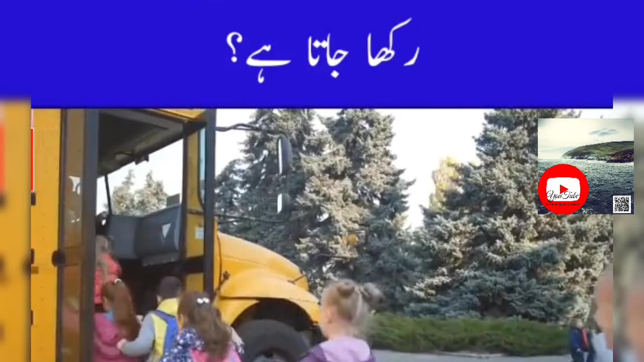 Why School bus color is yellow 💛