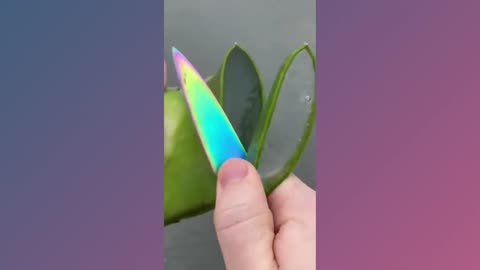 random satisfying video