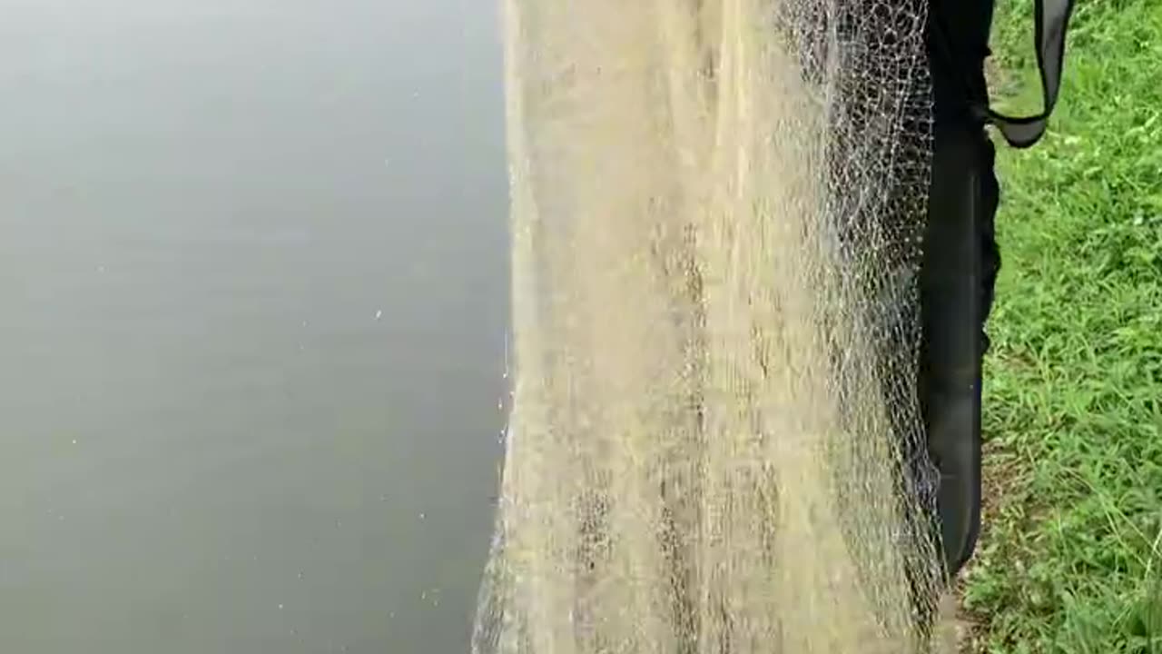 Amazing Fishing Videos Net fishing