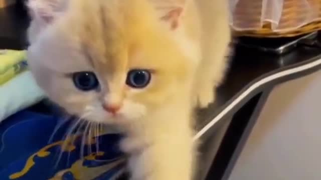 🥰🥰🥰🥰🥰🥰
