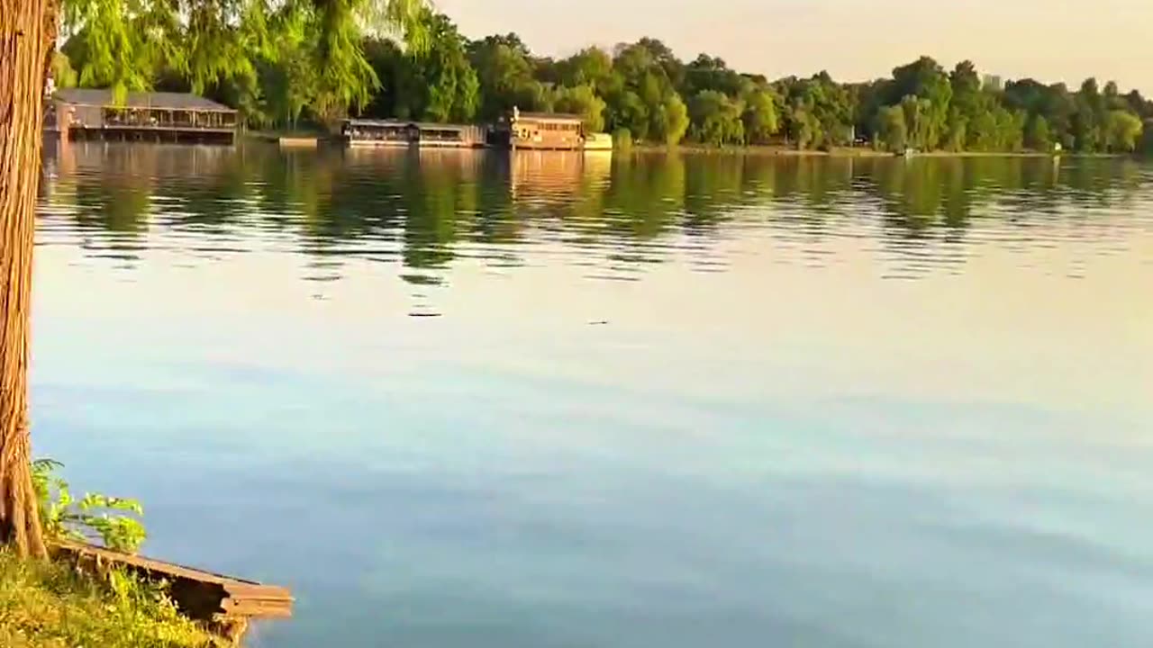 Who Is That? (Wrong Answers Only)