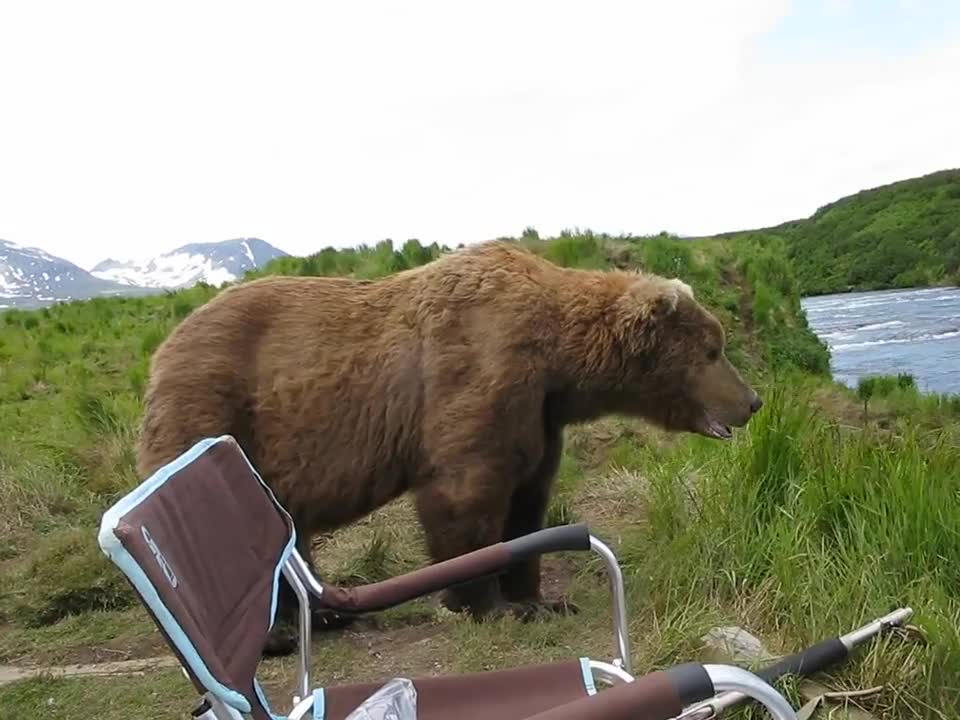 Bear seat nex to guy drink water