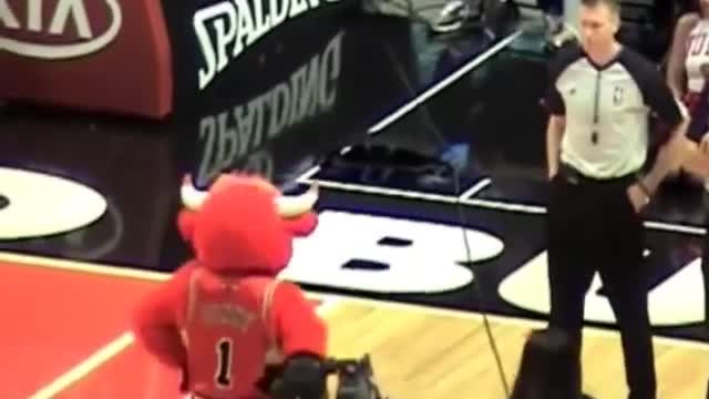 Mascotas Graciosas 2013 Benny the Bull!!!!