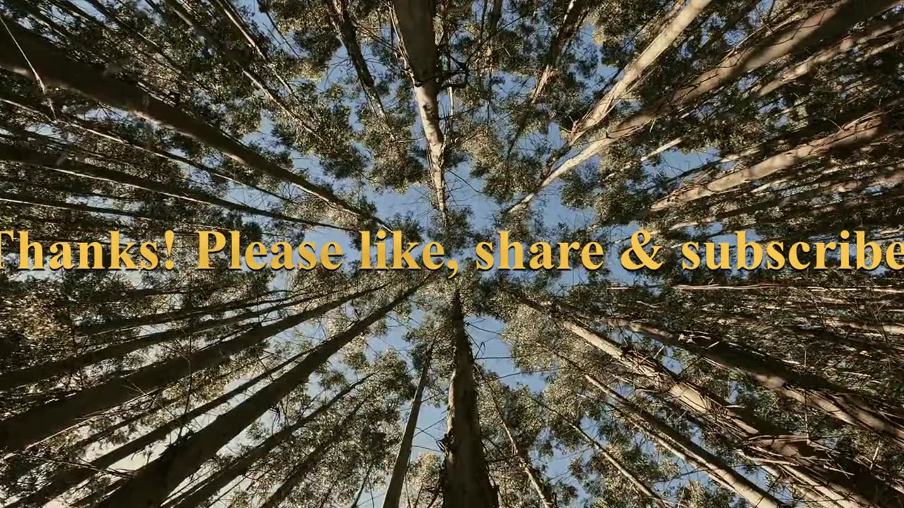 10 min. Subliminal Clip (Heal Yourself) - Forest Trees & Sky View, Birds, Nature & Water sounds.