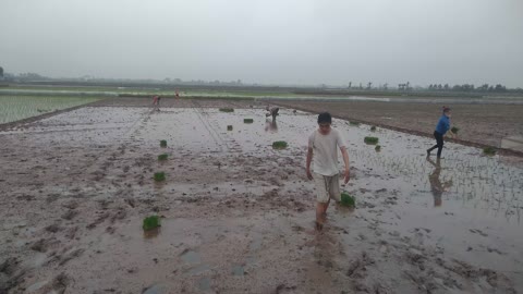 Một ngày thật vất vả