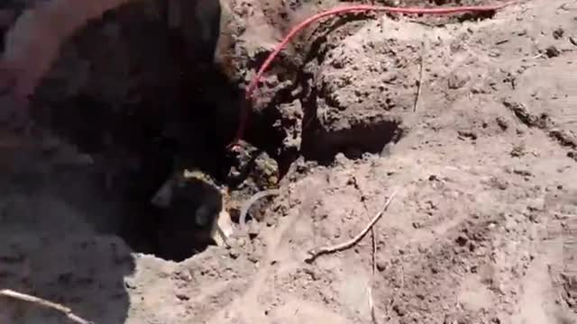 ΑΠΟΝΑΡΚΟΘΕΤΗΣΗ