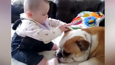 The smart baby playing with his dog ll cut dog ll funny dog