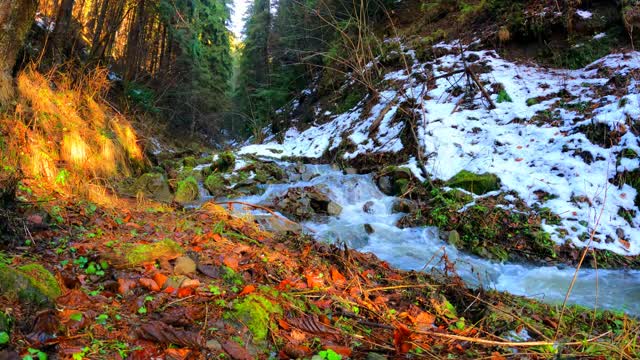 Water Flowing in a Stream