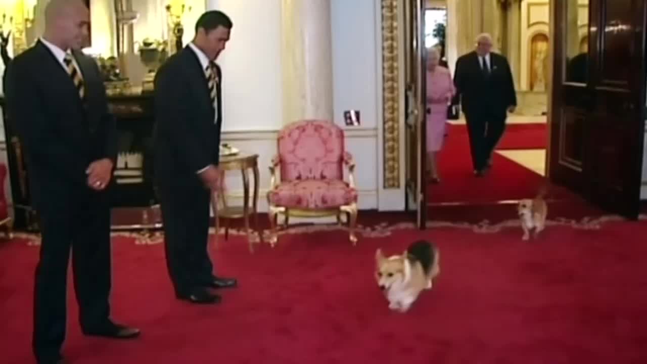 Queen confesses there are dangerous forces she doesn't control