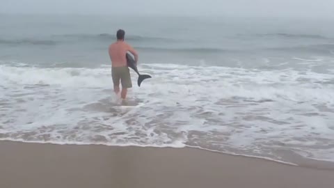 Man saves dolphin!!