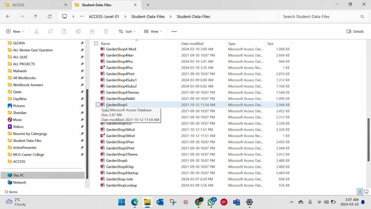 ACCESS- chapter 5 assessment -1