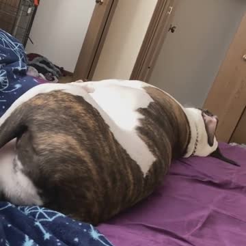 😂❤️ dreaming😂❤️