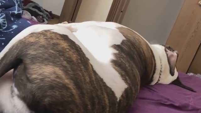 😂❤️ dreaming😂❤️