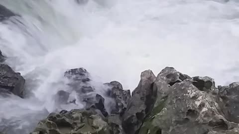 Noisy river in jamaica