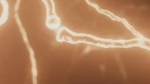 Science