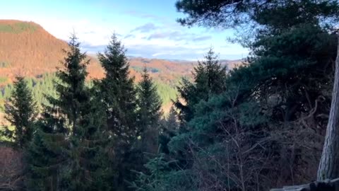 The River Braan and Pine Cone vVew Point