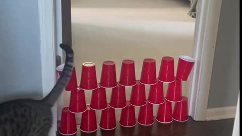 I had my doubts