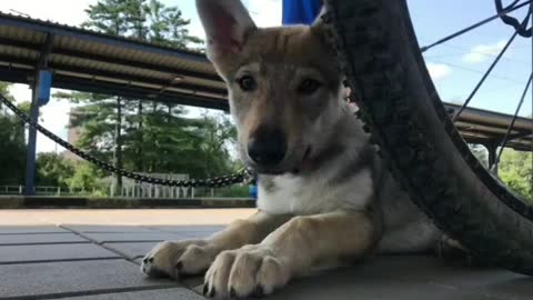 Aiyra and her 6 months of life