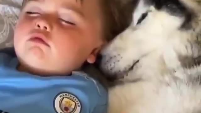 Baby growing up with a love of dog