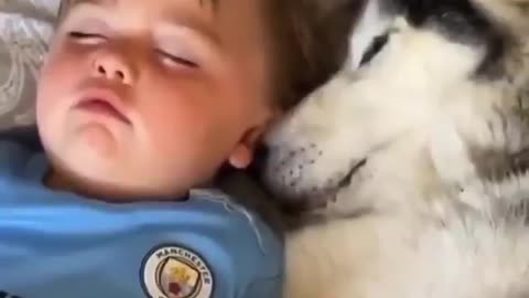 Baby growing up with a love of dog