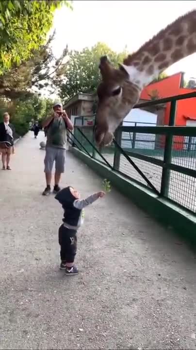 FORGET CATS! Funny KIDS vs ZOO ANIMALS are WAY FUNNIER! - TRY NOT TO LAUGH