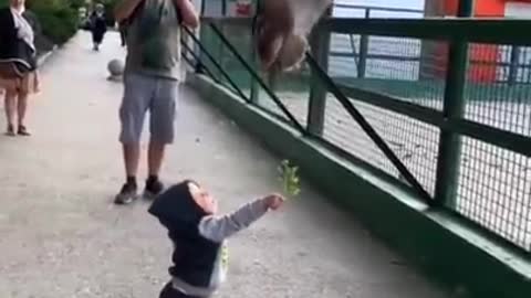 FORGET CATS! Funny KIDS vs ZOO ANIMALS are WAY FUNNIER! - TRY NOT TO LAUGH