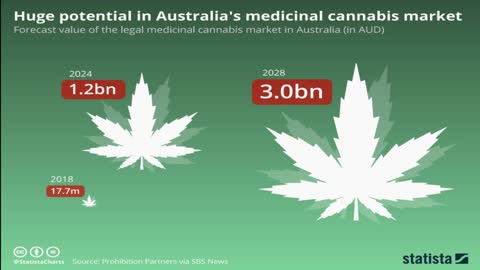 The Case For Cannabis Law Reform: The Market Needs To Be Regulated