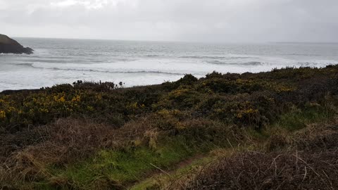 Manobier beach. Drizzling rin and slight wind. Pembrokeshire. Wales.